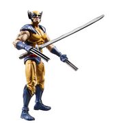 Wolverine - Tiger Stripe Costume