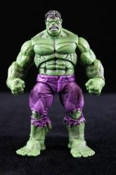 Marvel Universe Wave 17 - Hulk